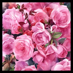 Shawl Scarf Pattern Graphic Design
