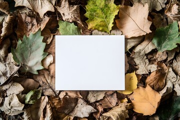 A white blank card mockup with autumn leaves in the background.