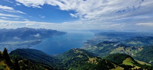 Fototapeta premium nature