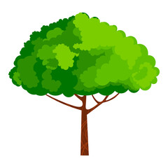 Vector illustration of cartoon tree with thick trunk and abundant green leaves, ideal for backgrounds, posters, or web designs. The vibrant colors and simple shapes tree isolated on white backdrop