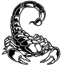 Schwarz-weiße Darstellung eines Skorpions mit erhobenem Stachel. Ideal für Tattoos, Tiermotive, Sternzeichen, Ausmalbilder, Symbolik oder Fantasy-Themen.