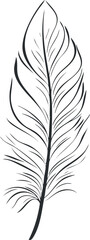 Obraz premium Elegant black and white feather illustration for decorative or design purposes.