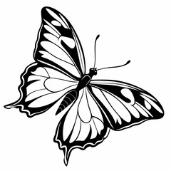 butterfly silhouette black vector