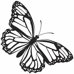 butterfly silhouette black vector