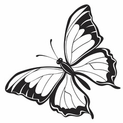 butterfly silhouette black vector