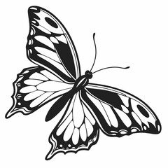 butterfly silhouette black vector