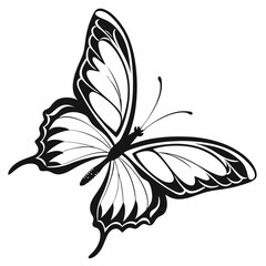 butterfly silhouette black vector