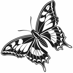 butterfly silhouette black vector