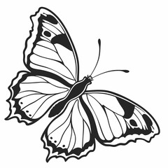 butterfly silhouette black vector