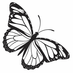 butterfly silhouette black vector