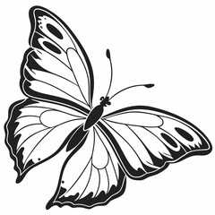 butterfly silhouette black vector