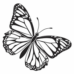 butterfly silhouette black vector