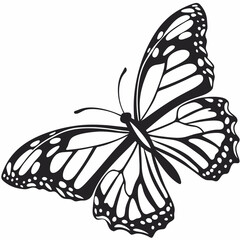 butterfly silhouette black vector