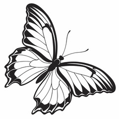 Fototapeta premium butterfly silhouette black vector