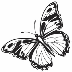 butterfly silhouette black vector
