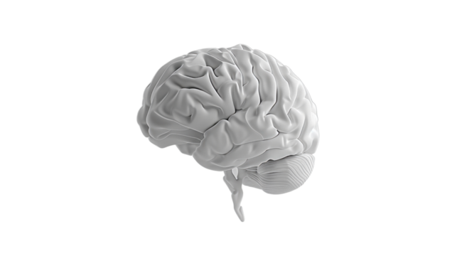 White human brain rotating on transparent background: perfect for medical presentations