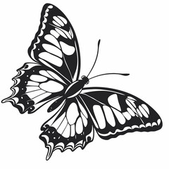 butterfly silhouette black vector