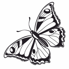 butterfly silhouette black vector