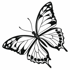 butterfly silhouette black vector