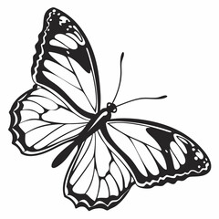 butterfly silhouette black vector