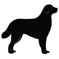 black silhouette of a dog