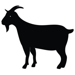 goat on white background