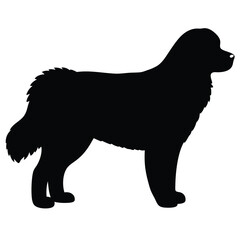 black silhouette of a dog