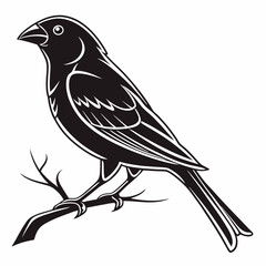 Canary black silhouette icon vector
