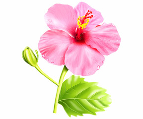 artistic creative hibiscus flower illustration