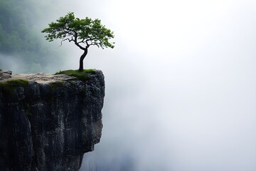 A lone tree on the edge of an ancient cliff.