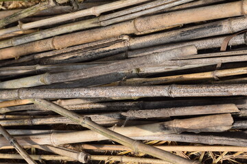 Bâtons de bambous séchés empilés