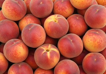 The image shows a pile of luscious, glossy peaches stacked together. 