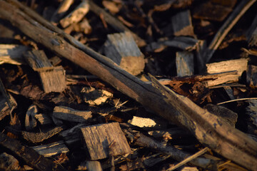 Close-up of bark mulch, in dark brown tones in the background