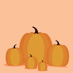 pumpkin on a white background