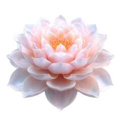 songkran festival, A beautiful pink lotus flower with delicate petals.