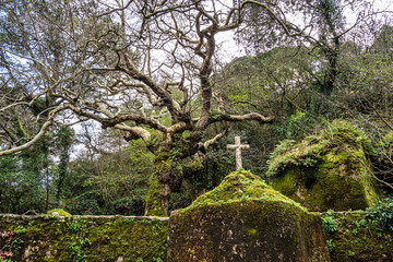 Abandoned and empty medieval Convento dos Capuchos in the Serra de Sintra National Park, Portugal