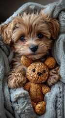 Cute puppy cuddles teddy bear in cozy blanket.