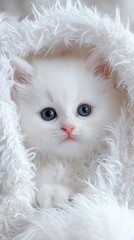 Fluffy white kitten wrapped in soft blanket.