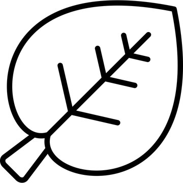 leaf icon