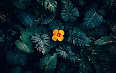 Naklejka premium Vibrant Yellow Flower Amid Lush Tropical Foliage