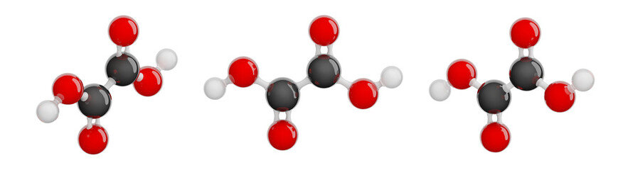 Molecule of Oxalic Acid. Set of views. Molecular formula: C2H2O4. Chemical model: Ball and stick. Isolated. Transparent background. 3D illustration
