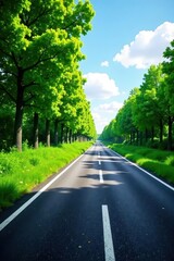 Obraz premium Fresh asphalt, crisp lane markings, lush green verge , close-up, grass, detail