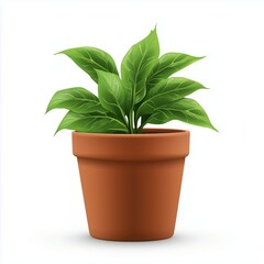Green leafy potted plant in terracotta pot