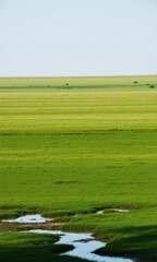 Naklejka premium golf course green field