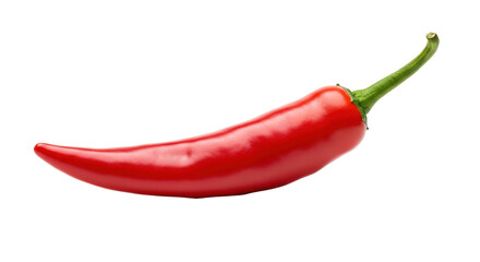 Isolated Black Office Chair