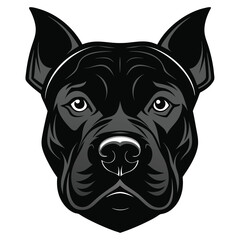 Staffordshire Bull Terrier dog Front view of head silhouette Vector illustration
White Background