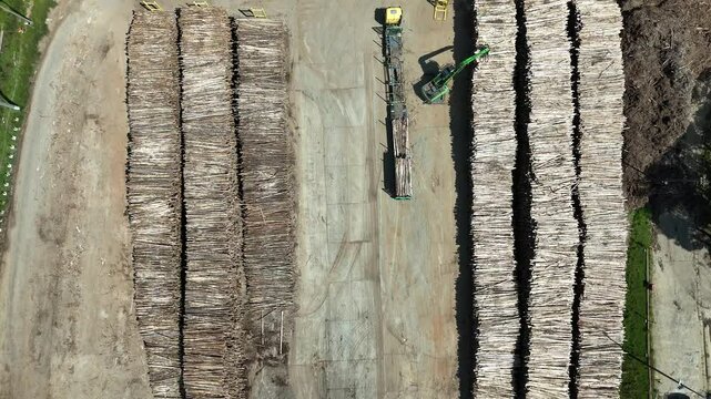 Vis&atilde;o a&eacute;rea de um caminh&atilde;o garra organizando o estoque de toras de madeira para a produ&ccedil;&atilde;o industrial de papel e celulose 4k