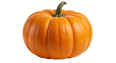 Isolated Ripe Pumpkin