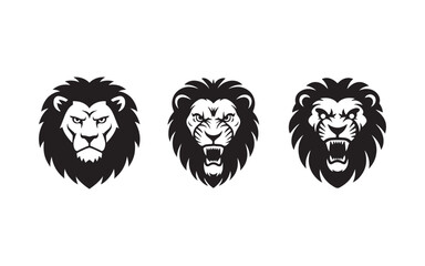 lion head vector illustration
