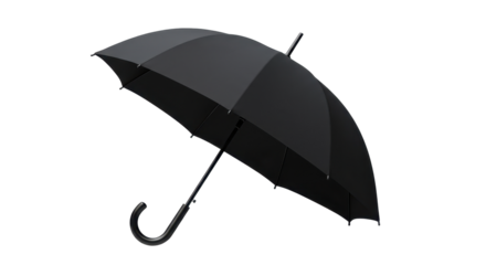 Isolated Black Umbrella